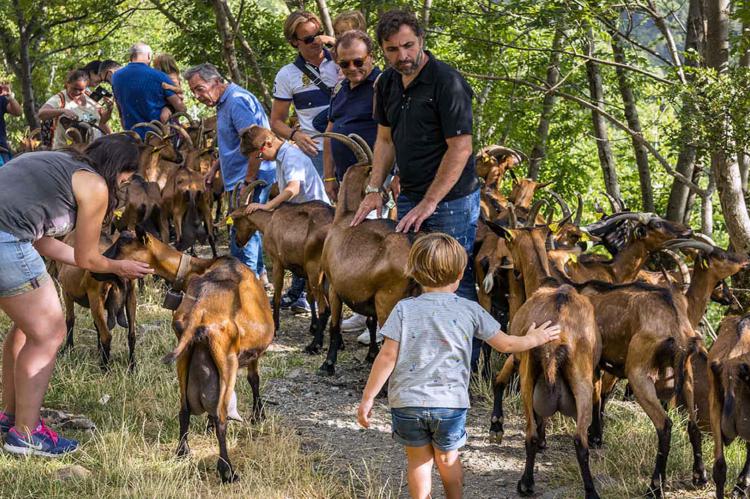 Fuente: Arxiu Patronat de Turisme de la Vall de Boí. Autor: Óscar Rodbag