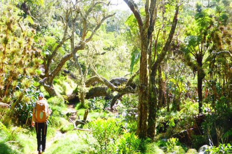 Trekking en Isla Reunión. La Grande Traversée (GRR2)