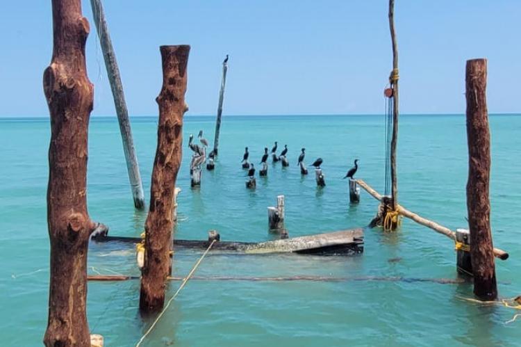 Una de las panorámicas que regala la Riviera Maya. Foto Lali Ortega Cerón