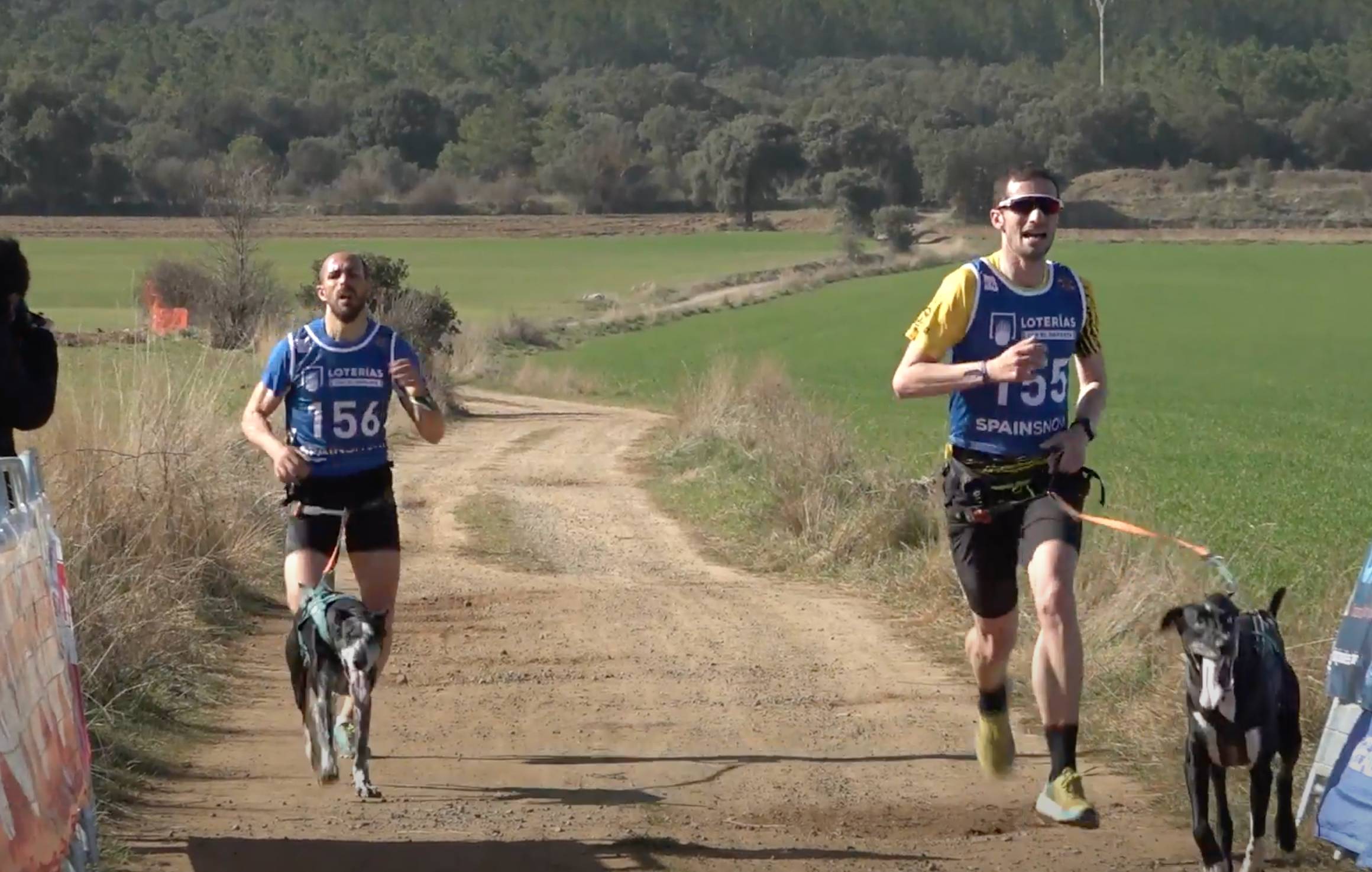 Apertura de la Copa España Mushing sobre tierra en La Pobla de Cèrvoles