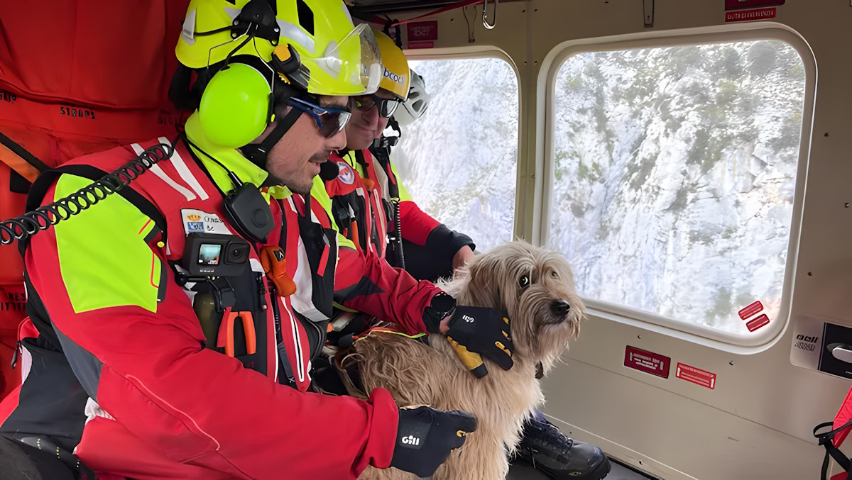 Rescatan con helicóptero a una perra atrapada durante dos días en un acantilado en Cantabria