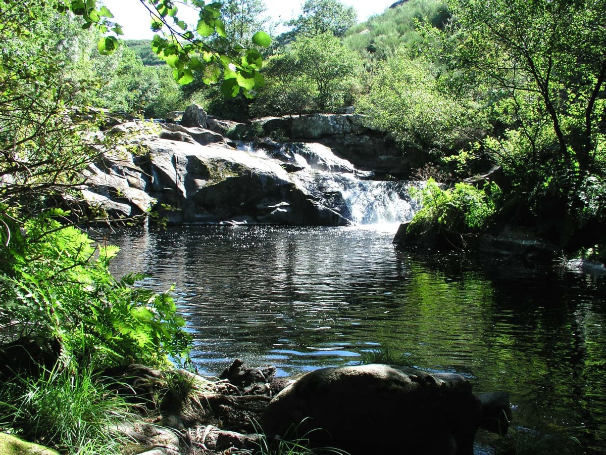 ​El Camino de Santiago Francés por el Bierzo y Galicia, una experiencia sensorial única