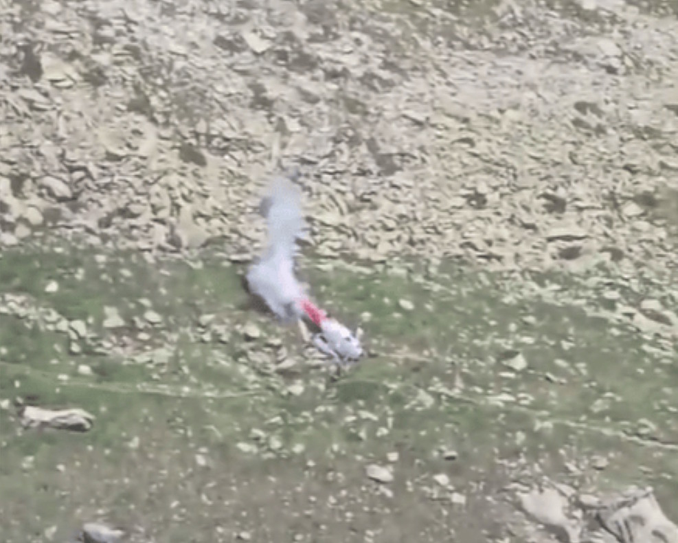 Accidente mortal en el Valais: un helicóptero se estrella en el glaciar Oberaletsch
