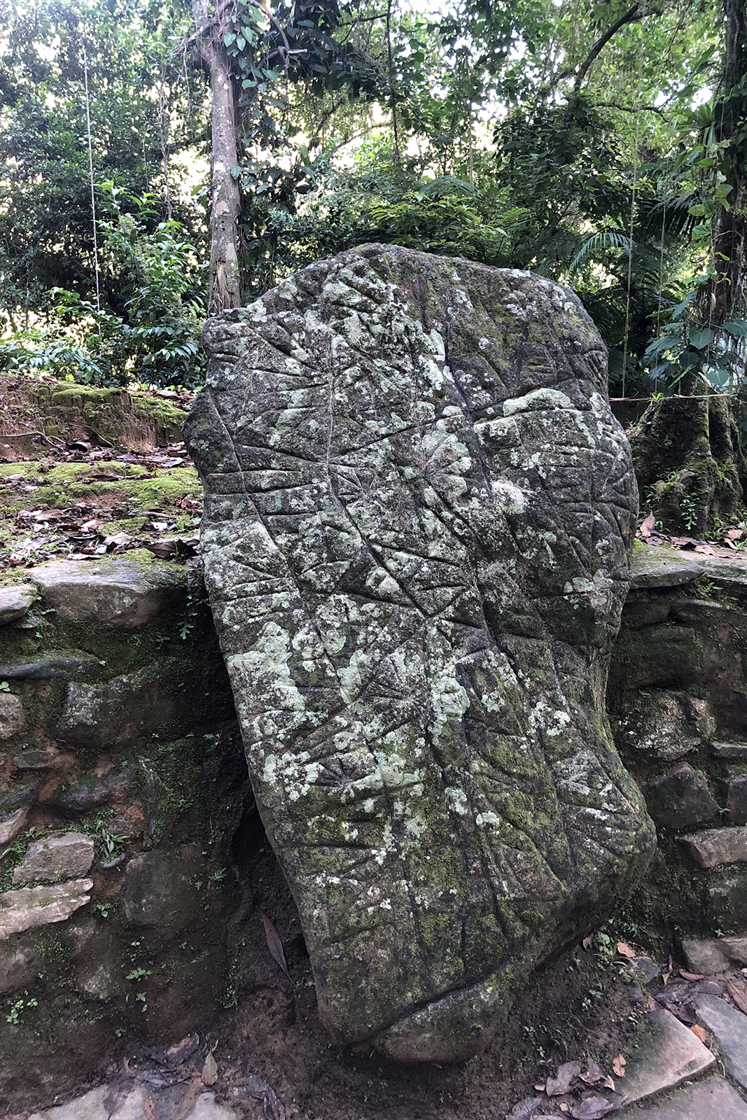 roca mapa tayrona
