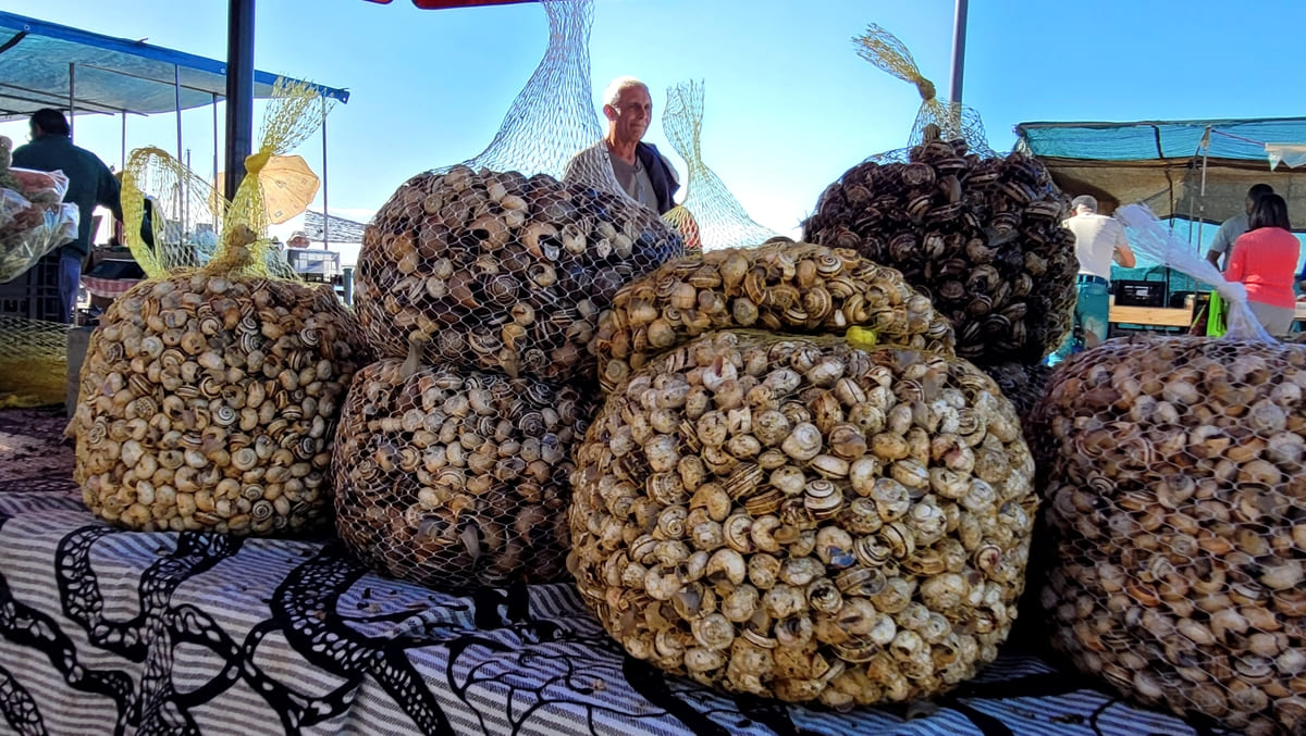 Sábado, día de mercado en Olhão 2-Lali Ortega Cerón