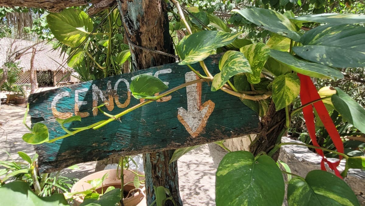 Los cenotes de Riviera Maya, lugares sagrados entre el inframundo y los sacrificios humanos-Lali Ortega Cerón