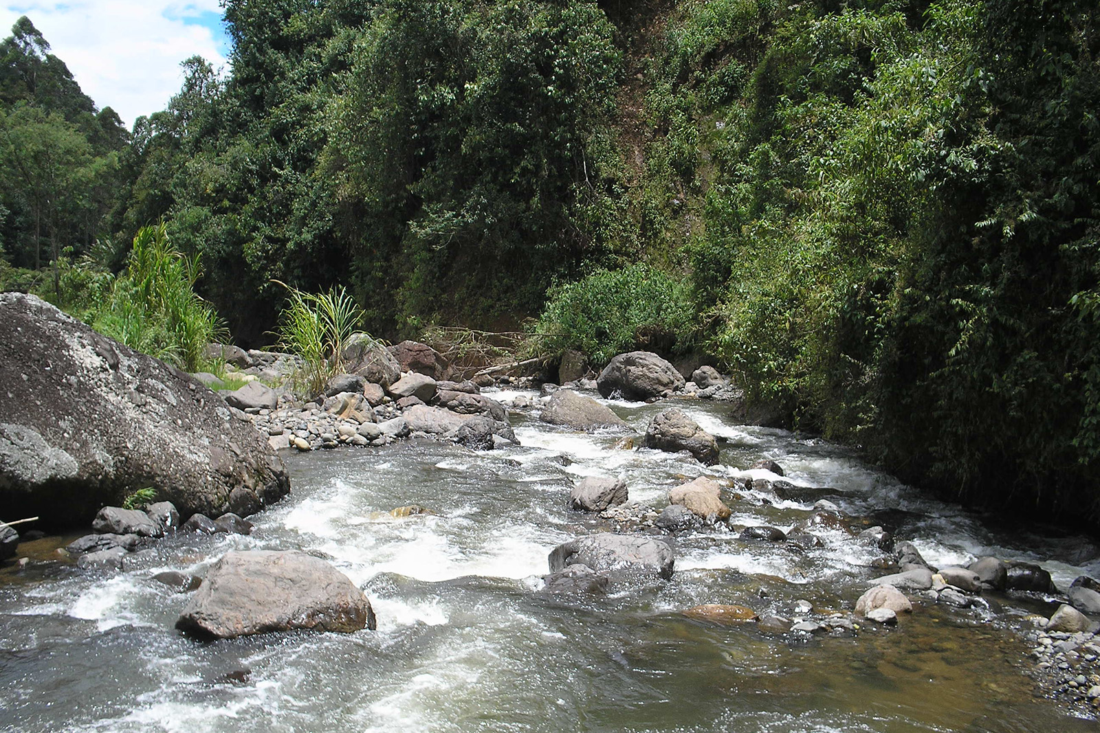 Río Buritaca