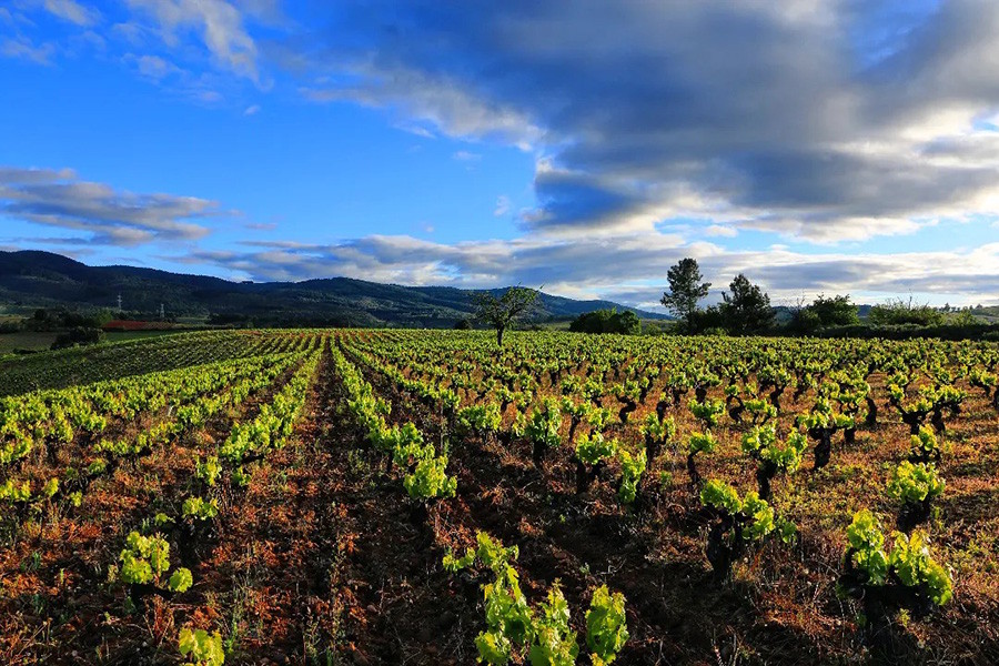 Villafranca del Bierzo