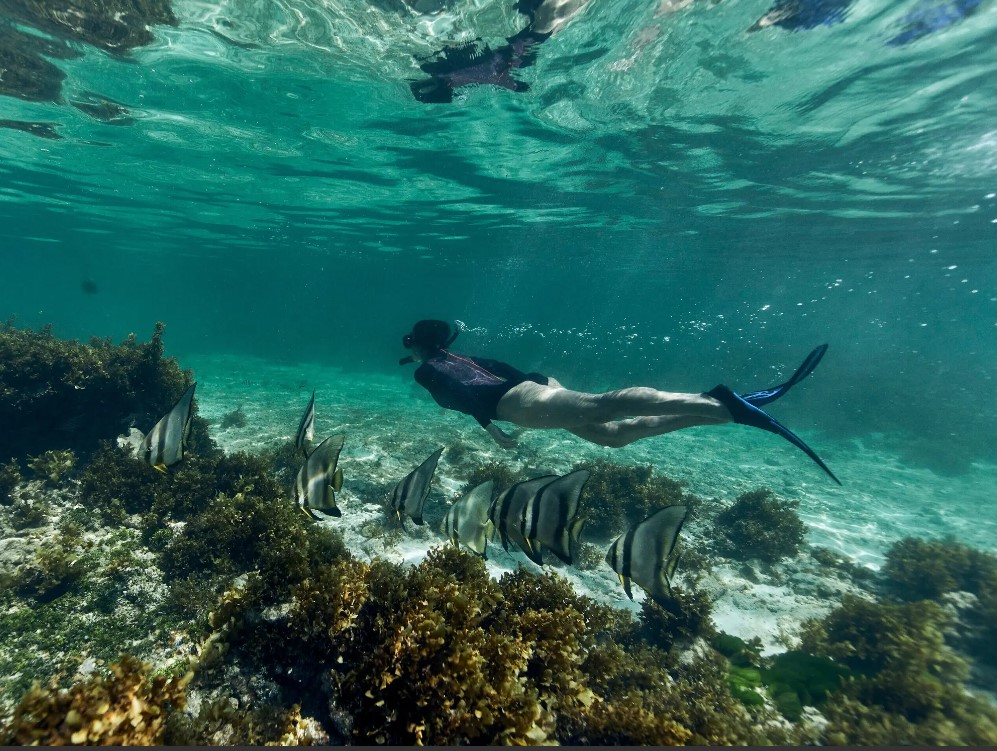 Actividades bajo el agua en las Seychelles
