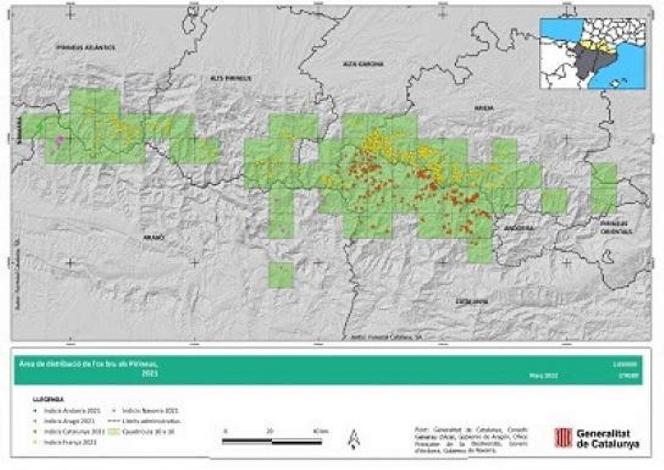 área geográfica oso