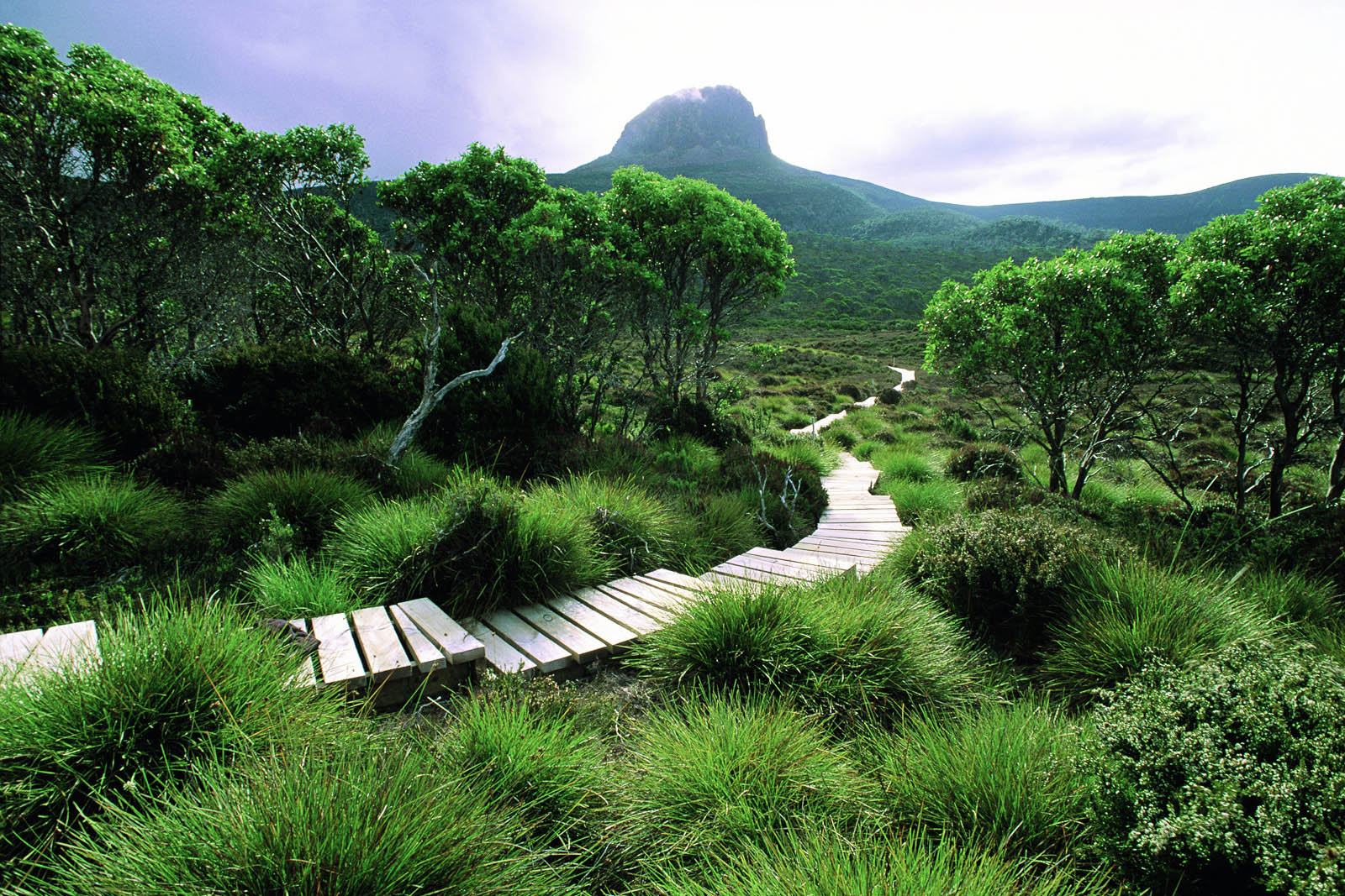 cradle-mountains-huts-walk-en-busca-del-demonio-de-tasmania.jpg