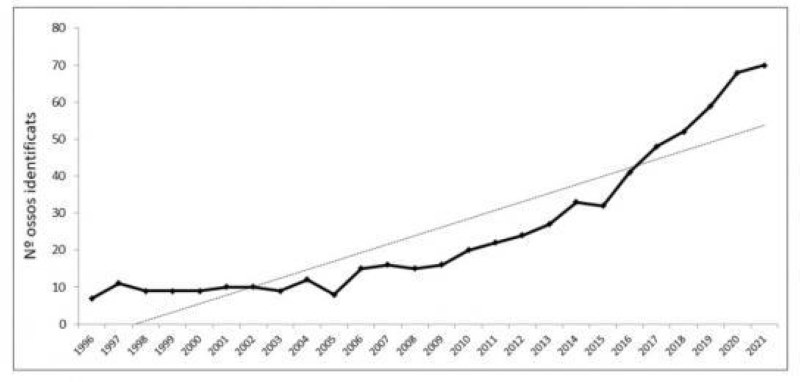 Crecimiento de la población de oso pardo en el Pirineo . (Generalitat de Catalunya)