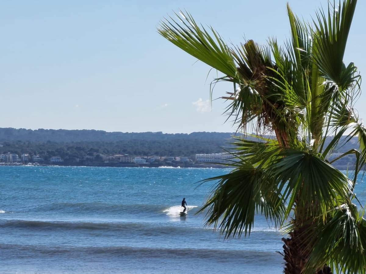 Escuela de Surf BonaOna en Palma-Imagen BonaOna