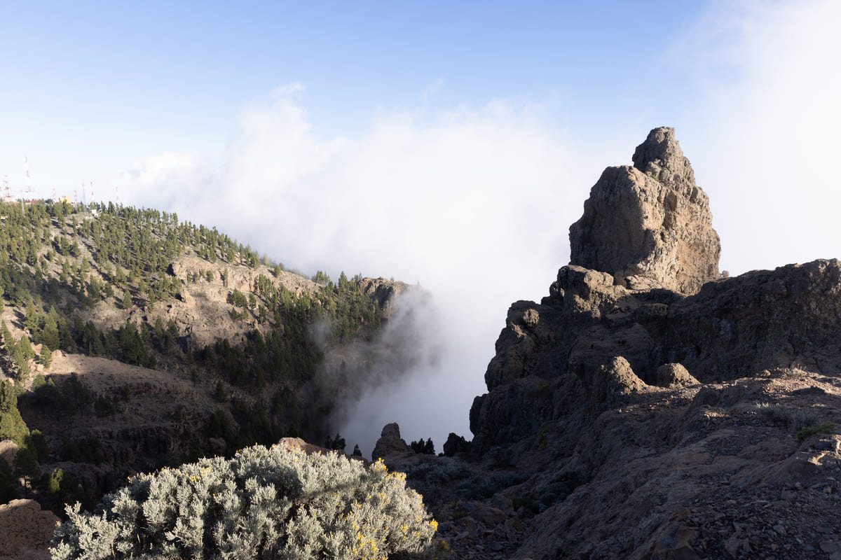 Pico de las Nieves. Fotografía: Júlia Miralles Larrègola