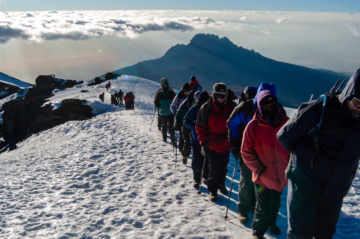 Acceso a la cumbre del Kilimanjaro. Foto de Crispin Jones en Unsplash