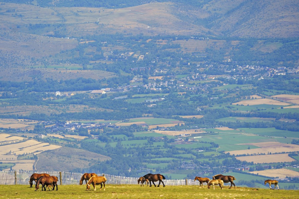 La Molina. Foto FGC/Oriol Molas
