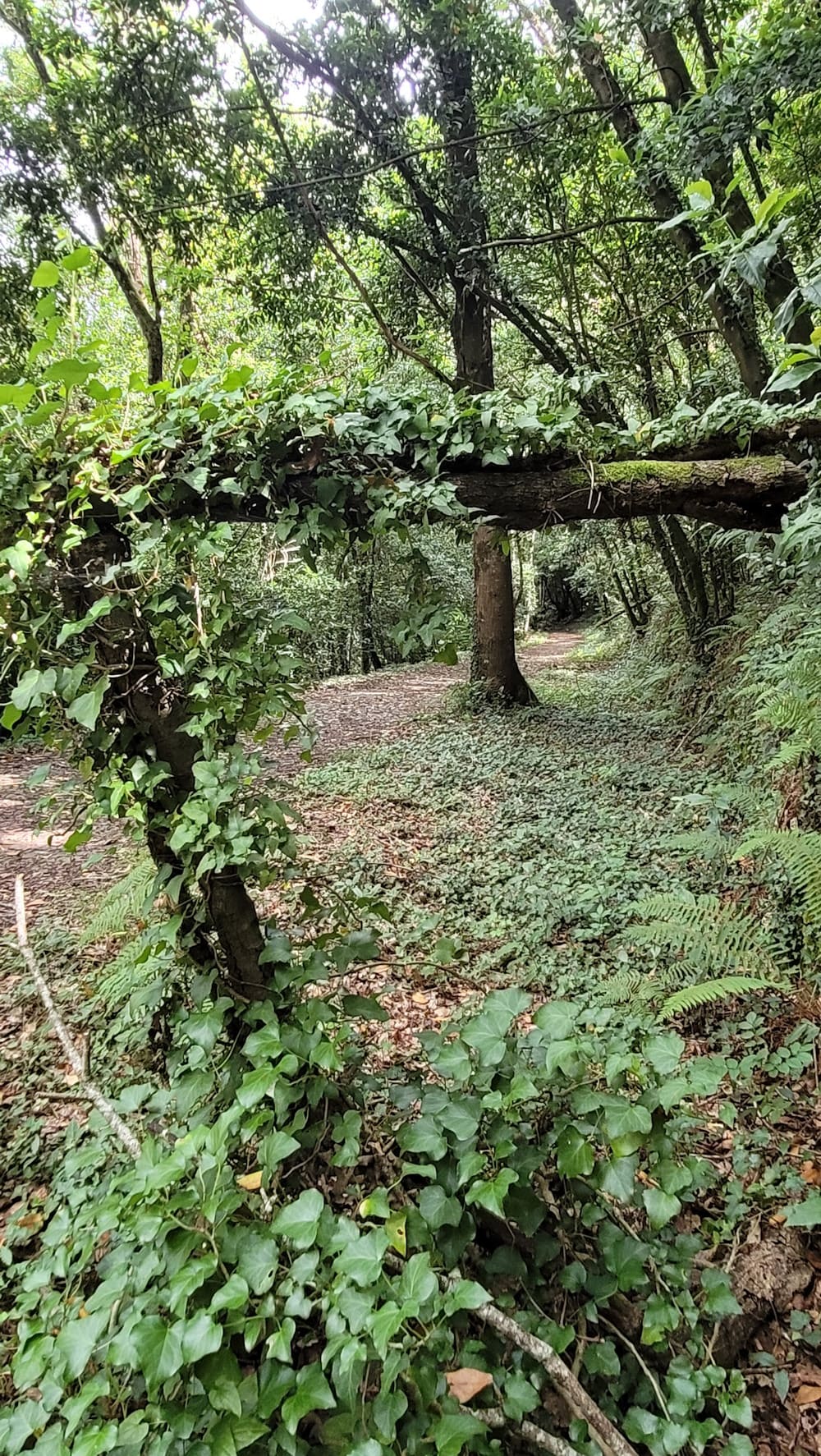 ruta de senderismo