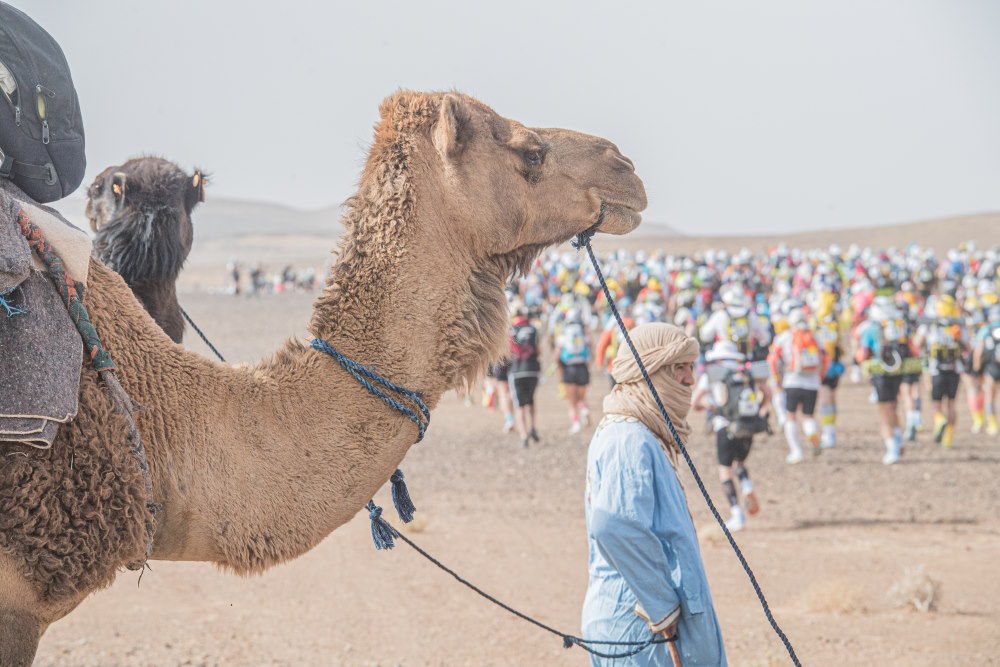 Marathon Des Sables