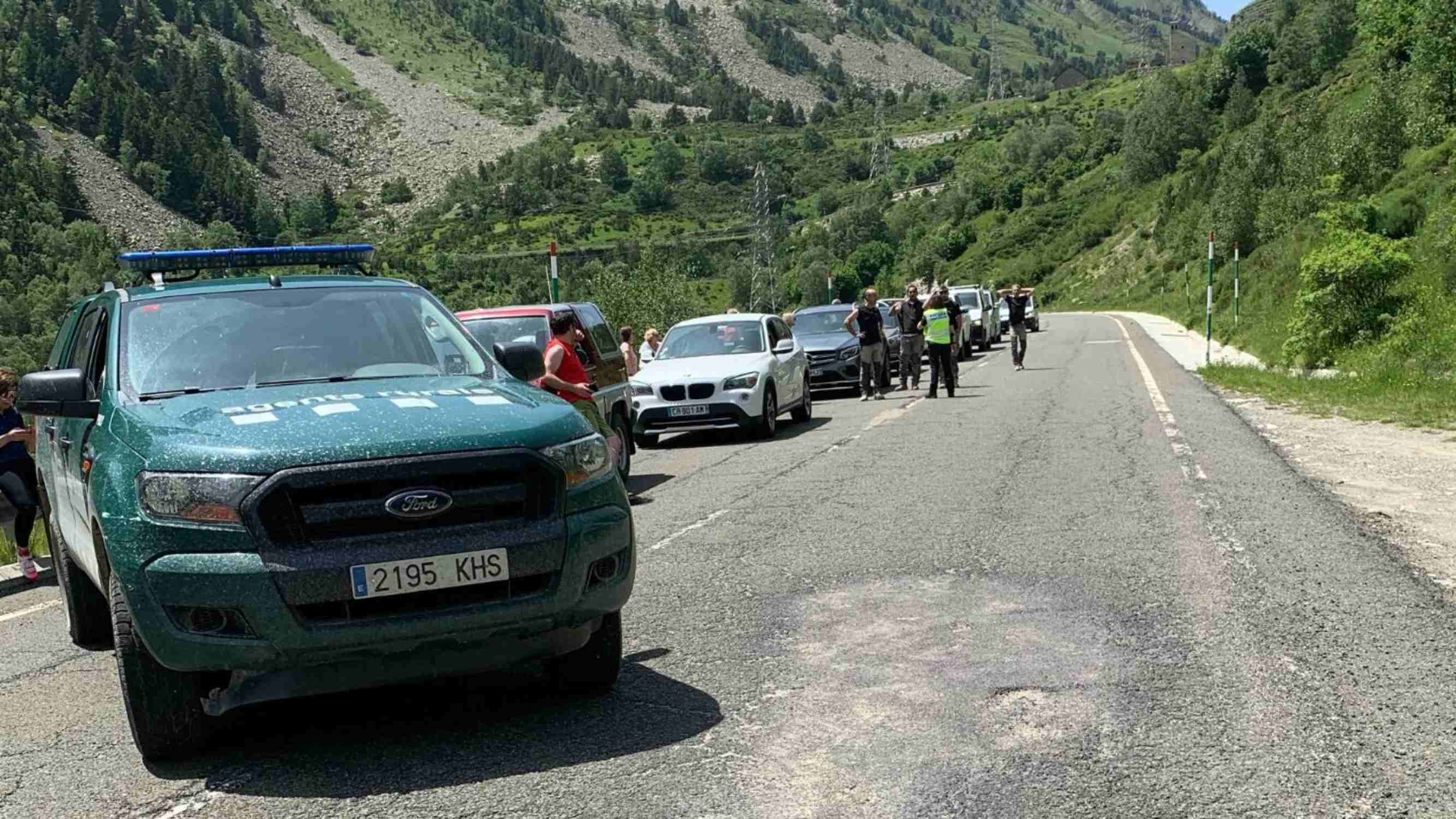 Oso carretera Bonaigua