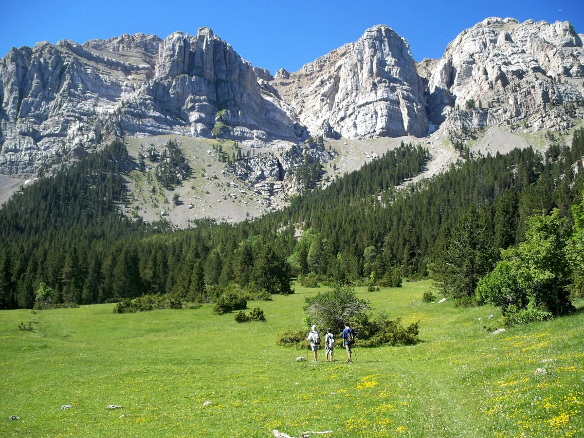 Celebrando un aniversario Natural en los Parques del Alt Pirineu y Cadí ...