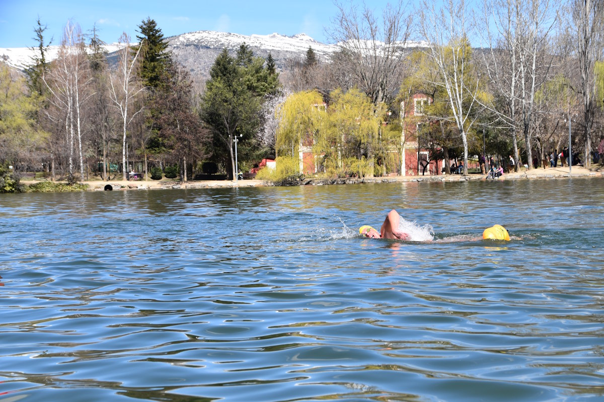 Tita Llorens nadando en el Llac de Puigcerdà. Fotografía de Sisco Pons