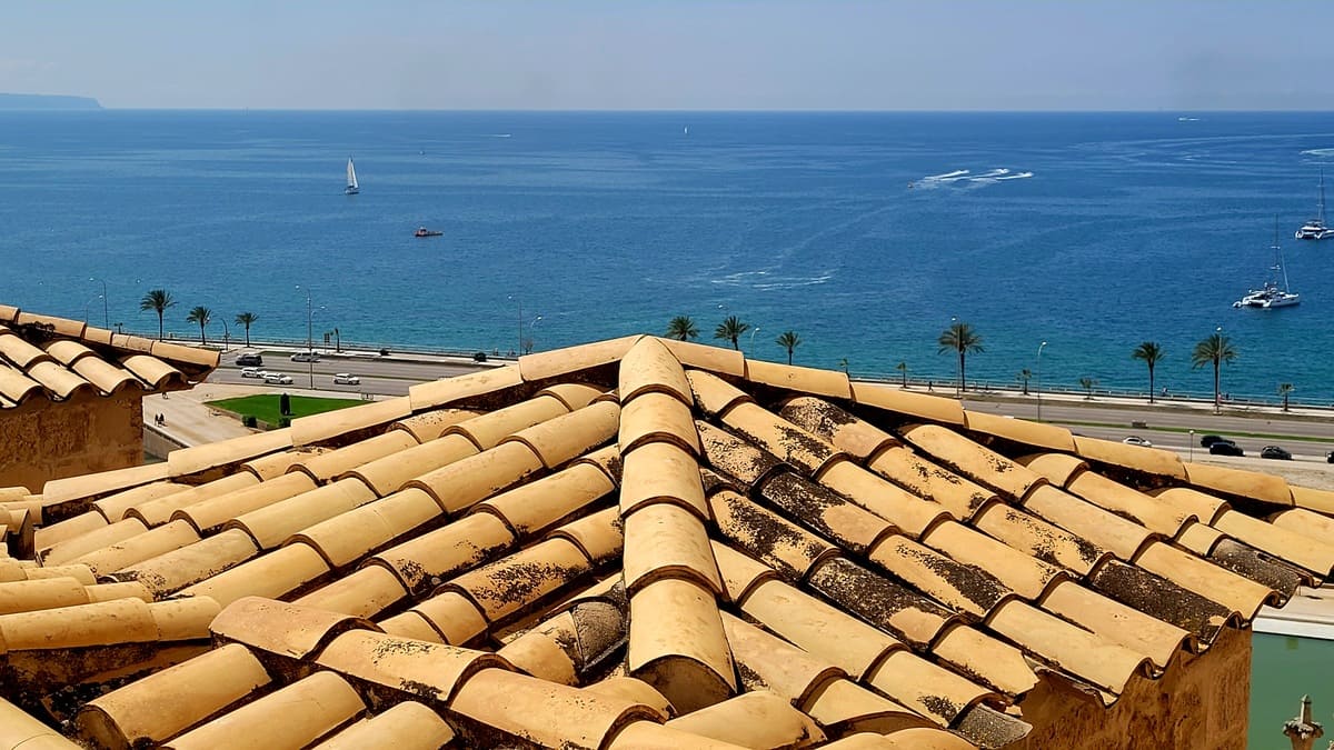 Vistas entre los tejados de Palma de Mallorca. (Foto: Lali Ortega Cerón)