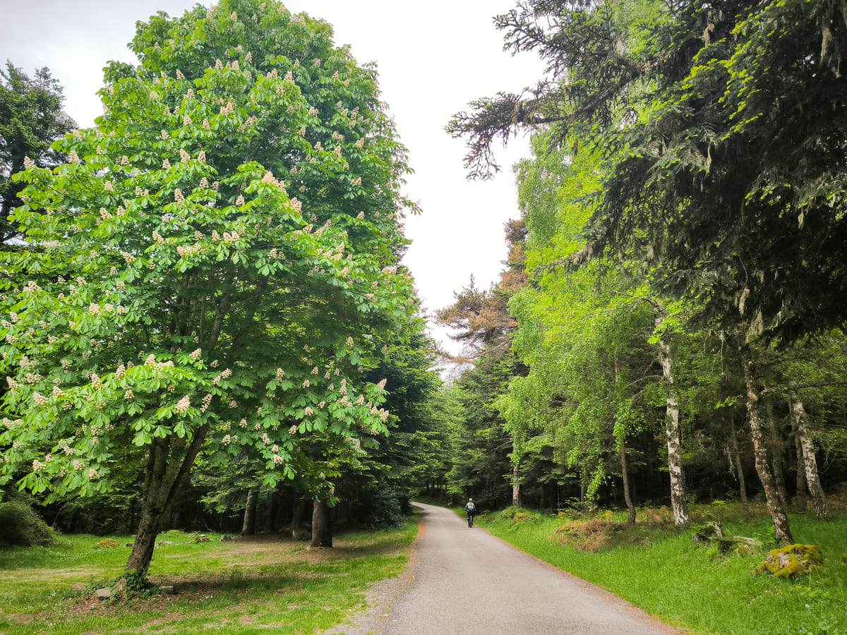 Pedaleando en la Val d'Aran