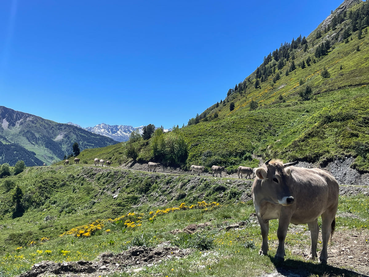 Pedaleando en la Val d'Aran