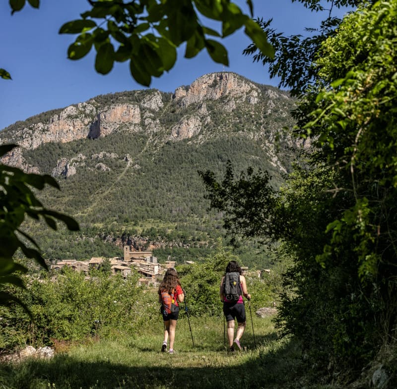 Ruta Medicinal