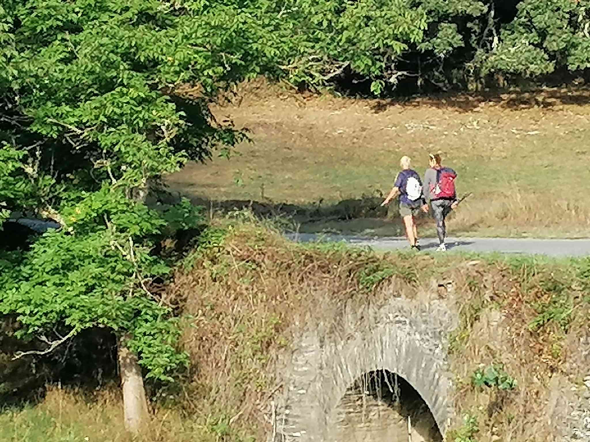 Camino de Santiago