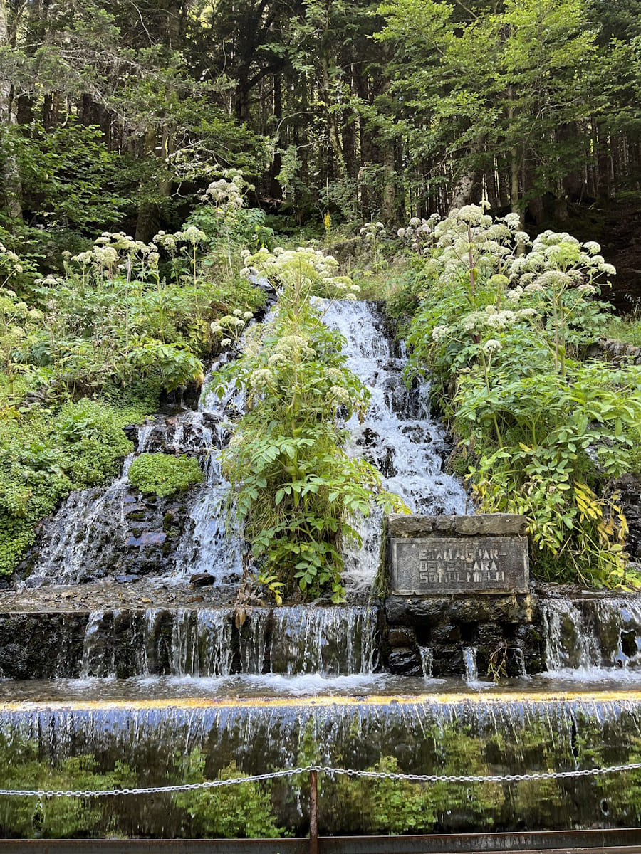 Saut de Pomèro. Era Artiga de Lin