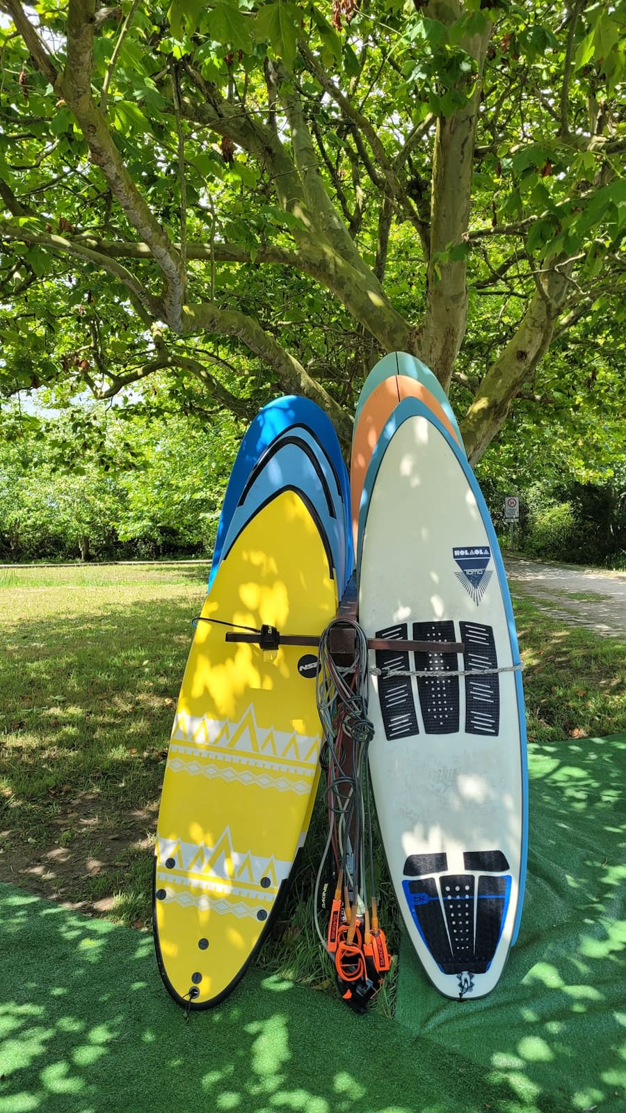 tablas de surf