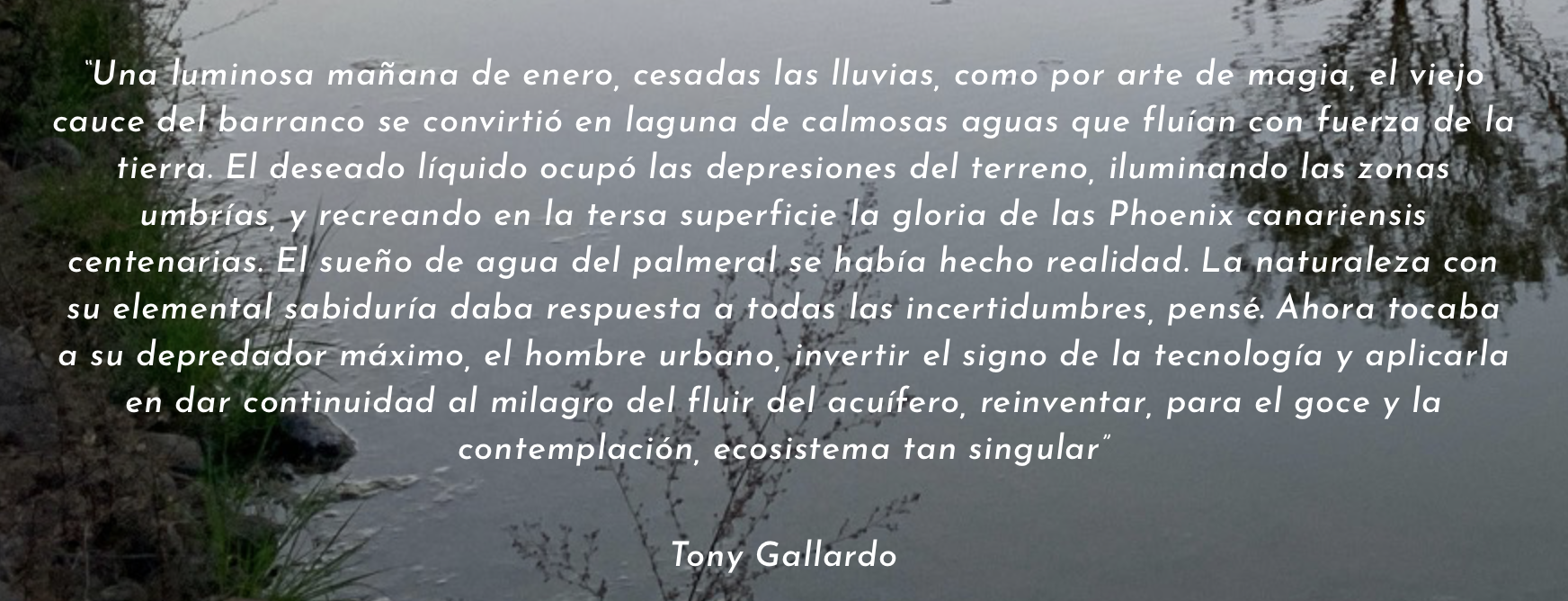 texto-tony-gallardo.png 