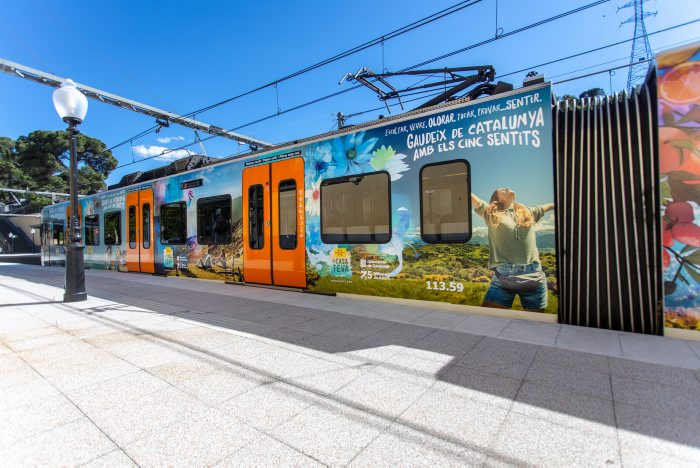 tren vinilado catalunya