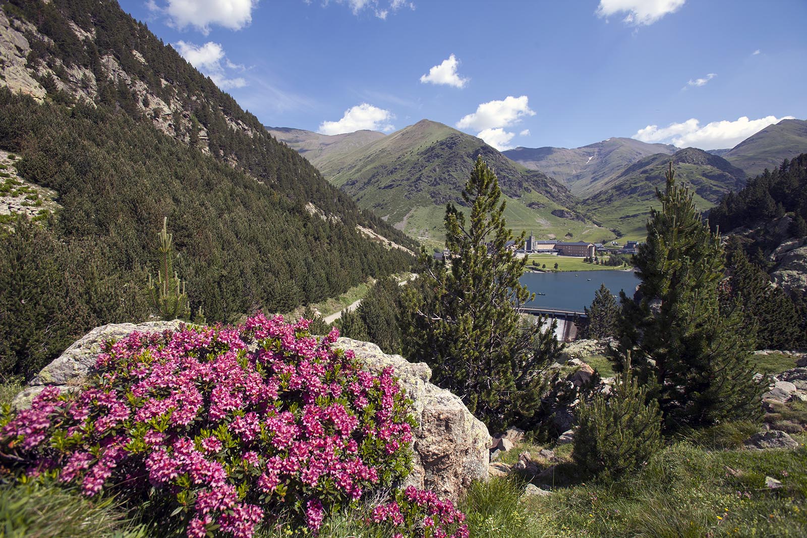 vall-de-nuria-©FGC.jpg