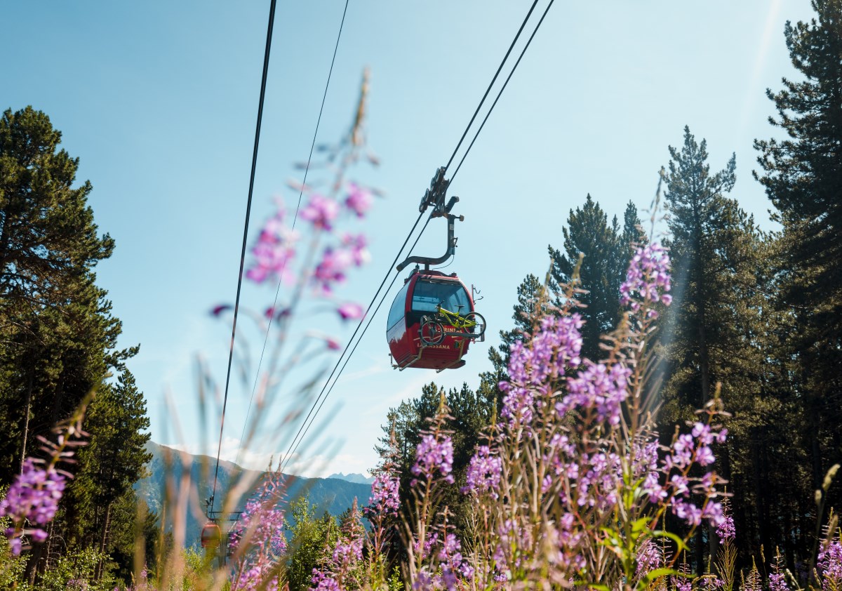 Vallnord Pal Arinsal