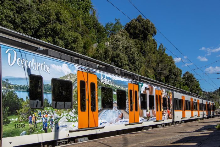 tren vinilado cerdanya
