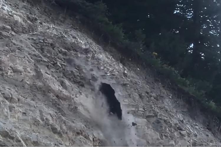 Vídeo viral: Un oso resbala y cae de una montaña hasta la carretera