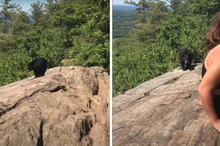 Vídeo: Una excursionista nombrada como 'Calm Queen' después de encontrarse con un oso negro