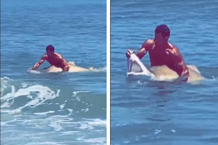 Vídeo: Un hombre atrapa un tiburón en la playa con sus propias manos
