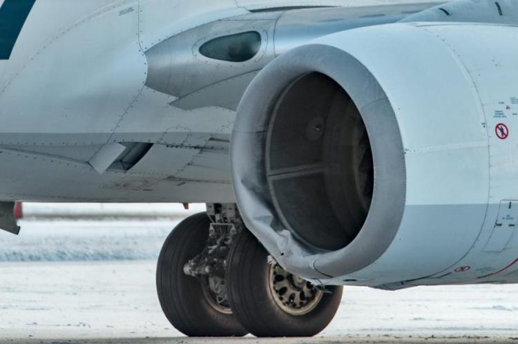 Un Boeing 737 choca con un oso cuando aterrizaba en Alaska
