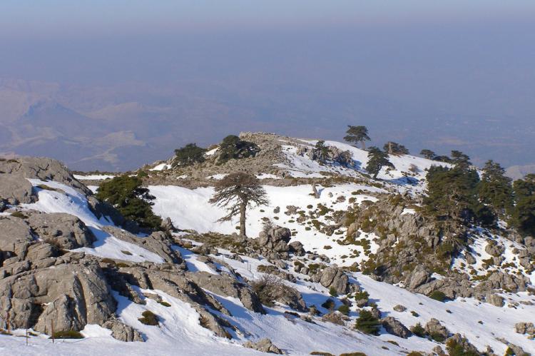 Andalucía suma su tercer Parque Nacional y el primero que se crea en España desde 2013