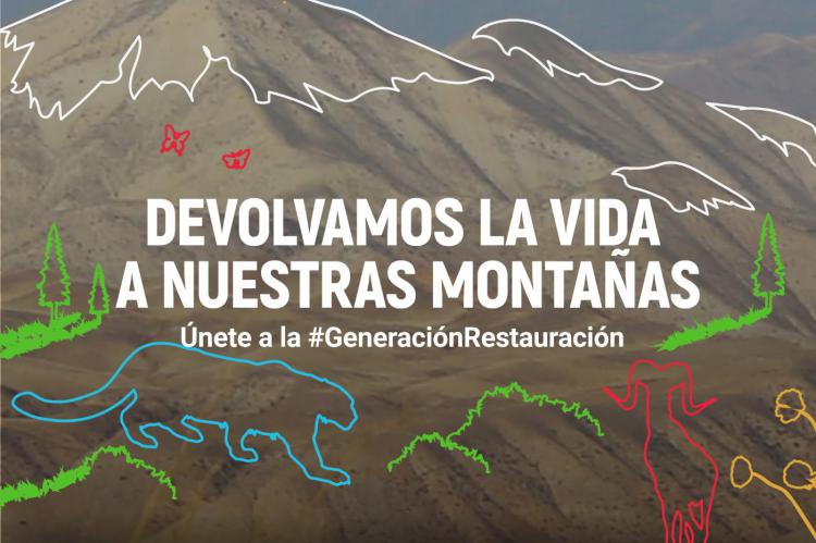 Este sábado 5 de Junio, es el Día Mundial del Medio Ambiente