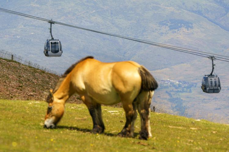 La Molina inaugura la temporada de verano con una amplia oferta de turismo activo en los Pirineos para todos los públicos