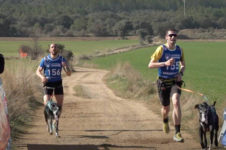 Apertura de la Copa España Mushing sobre tierra en La Pobla de Cèrvoles