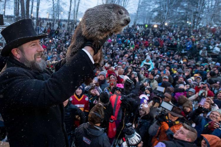 La marmota Phil predice seis semanas más de invierno