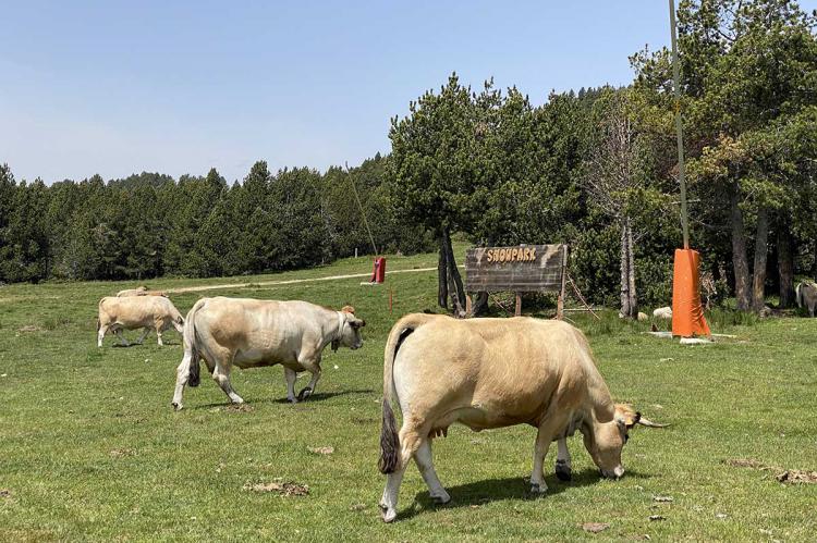 Font Romeu