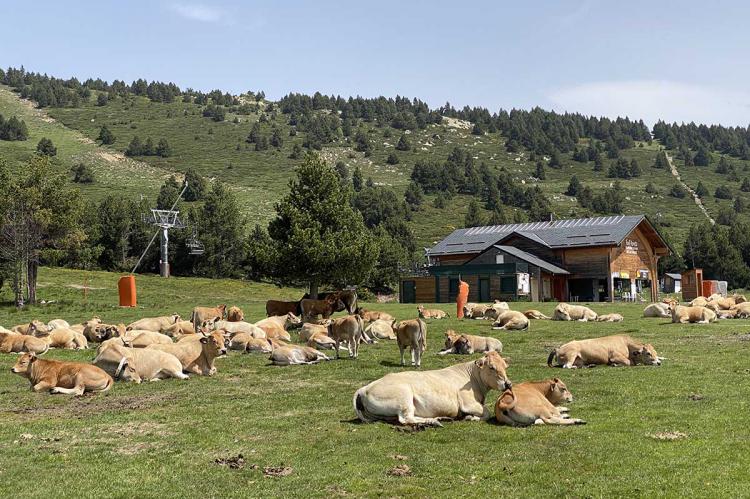 Font Romeu La Calme