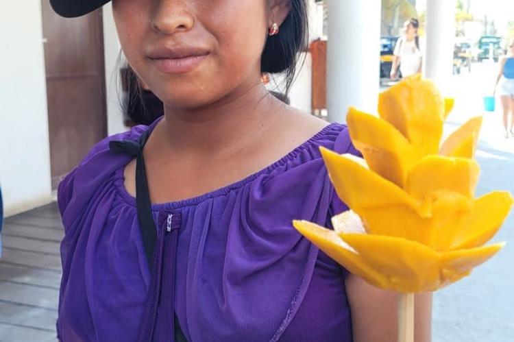 Saborear flores de mango en Holbox. Foto Lali Ortega Cerón