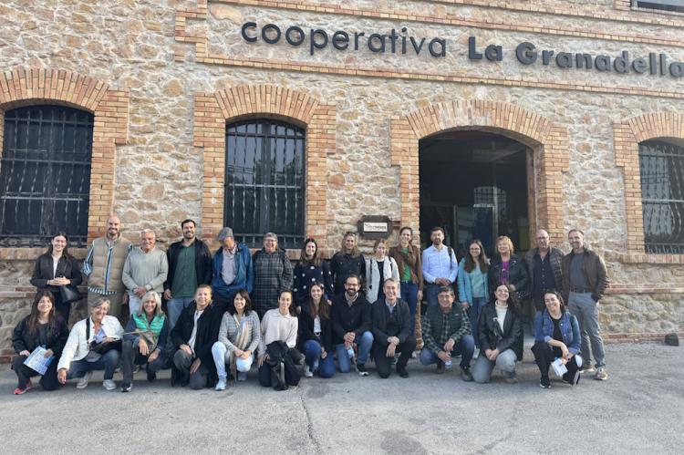 Las Tierras de Lleida impulsan su oferta de oleoturismo para preservar el paisaje agrario